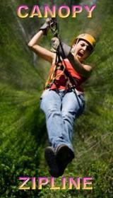 Selvatica canopy tour discount price