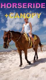 Horse back ride tour discount price