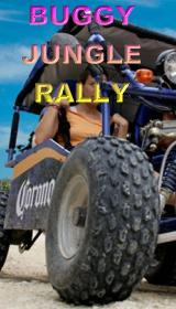 Buggy jungle rally tour with discount price