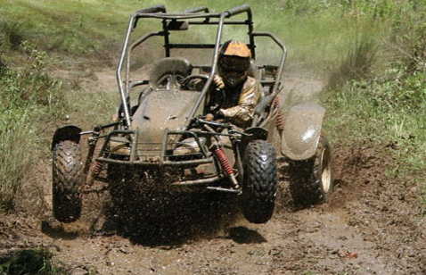jungle buggy 4x4