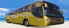 bus rentals transfers private transportation
