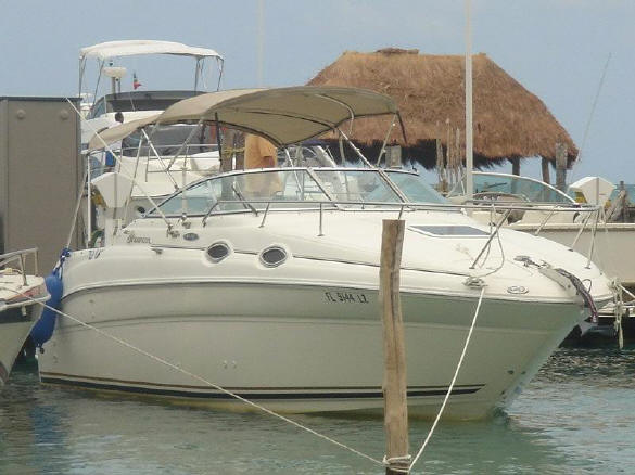 26' Sea ray