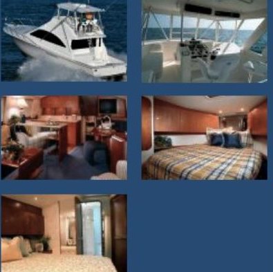 Predator - 48' Ocean Yacht