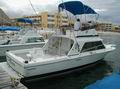 31 foots fish boat