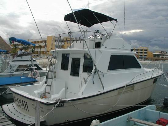 31 pies yatch boat