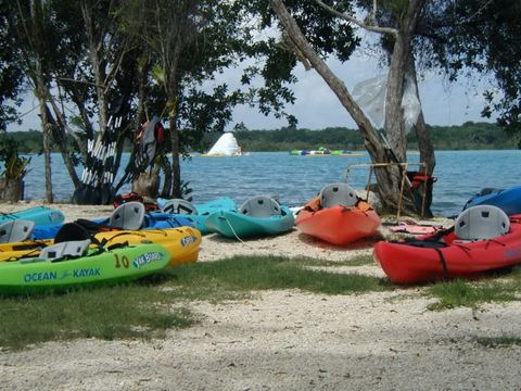 Bacalar