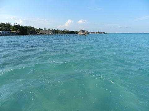 Bacalar