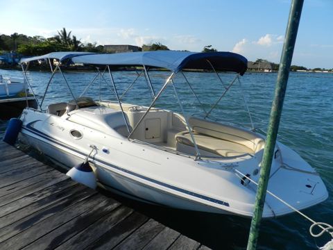 Bacalar