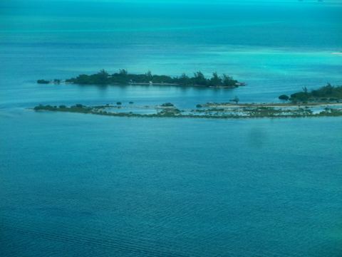 Belice