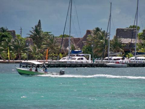 Belice