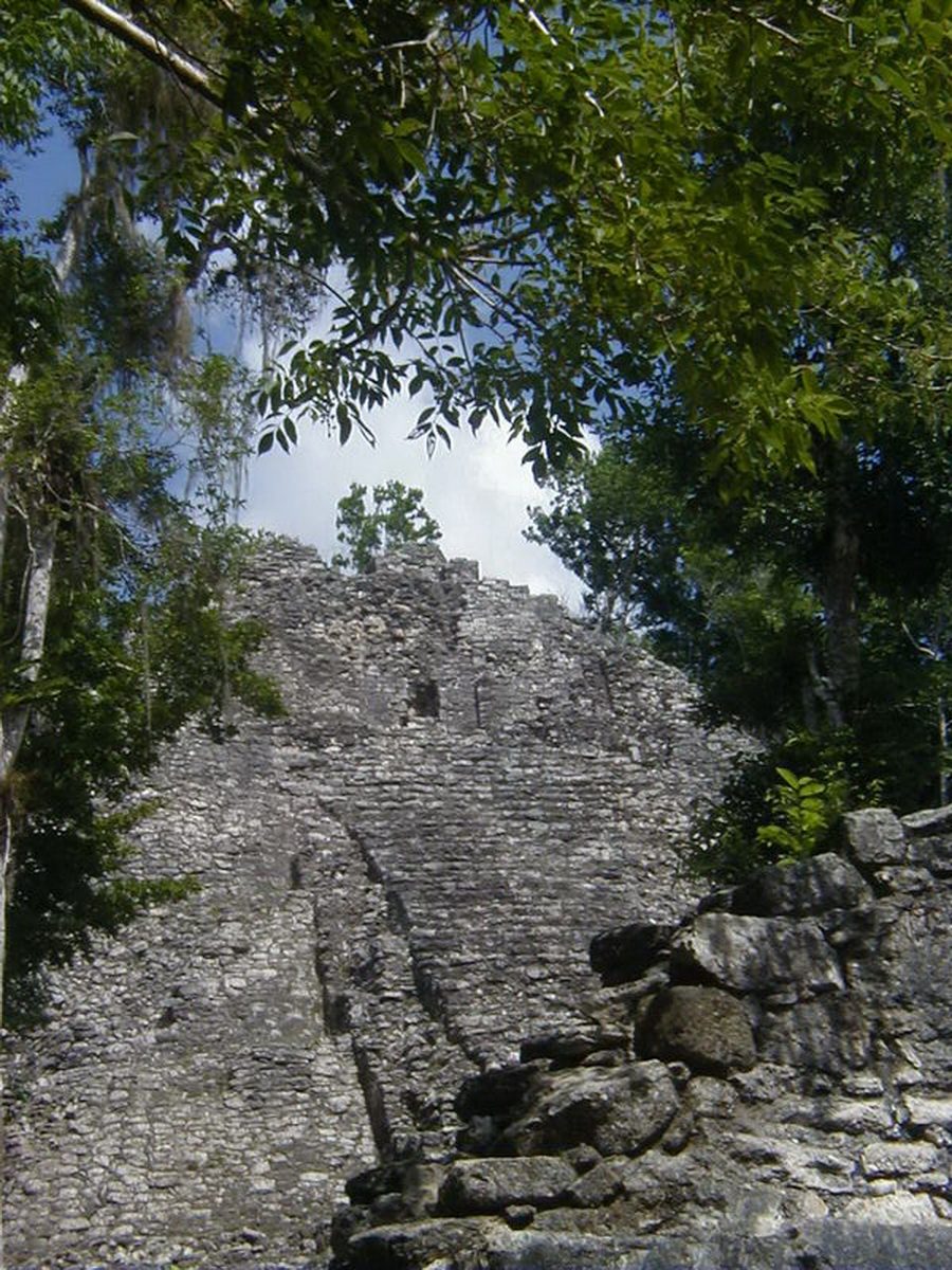 Cobá photos