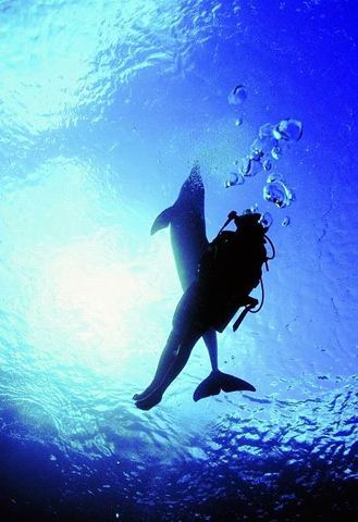 Arrecifes y buceo — Arrecifes de Cozumel (archivo)