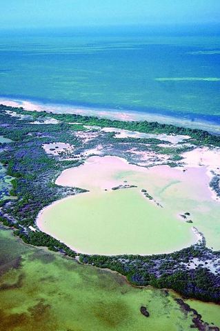 Holbox (archive)