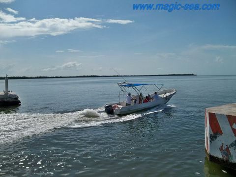 Holbox