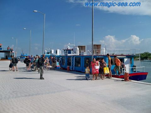 Holbox