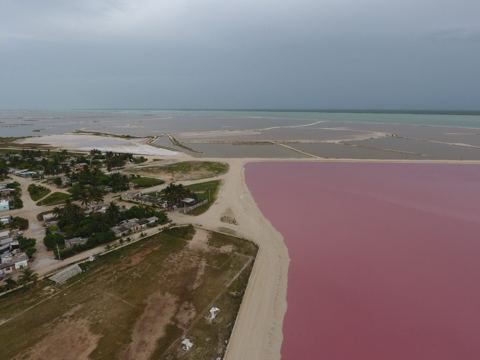 Río Lagartos y Las Coloradas