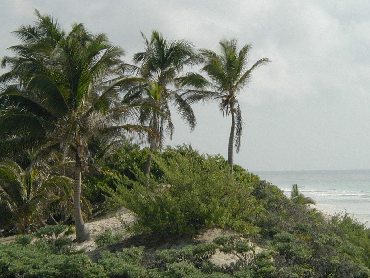 Sian Ka'an photos