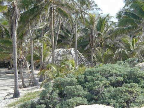 Sian Ka'an