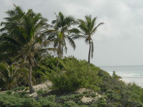 Sian Ka'an