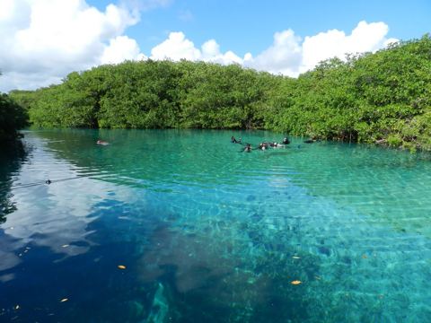 Tankah & cenotes
