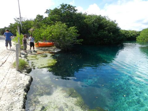 Tankah & cenotes