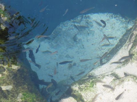 Tankah & cenotes