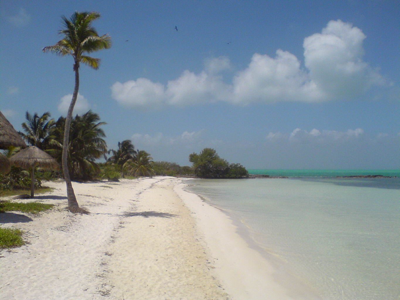 Isla Contoy Island Asterix Tour from Isla Mujeres