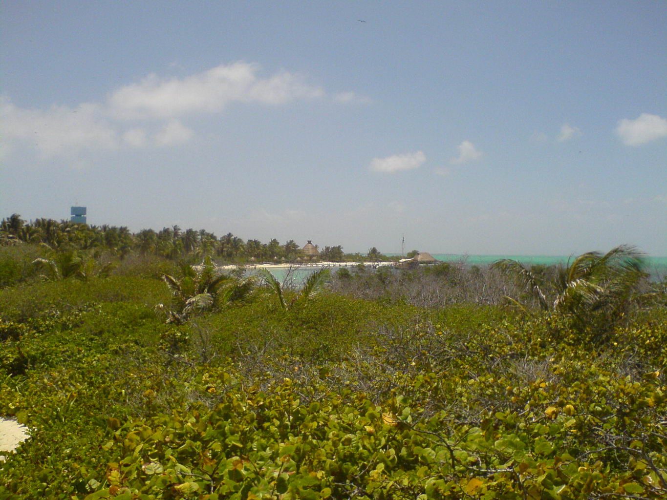 Isla Contoy Island Asterix Tour from Isla Mujeres