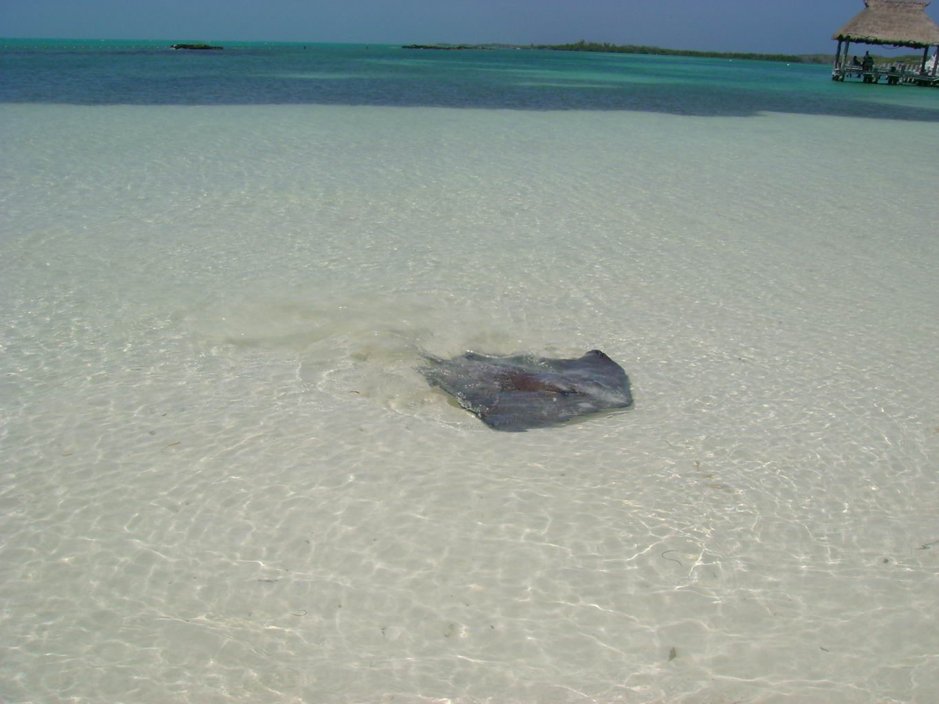 Isla Contoy Island Asterix Tour from Isla Mujeres