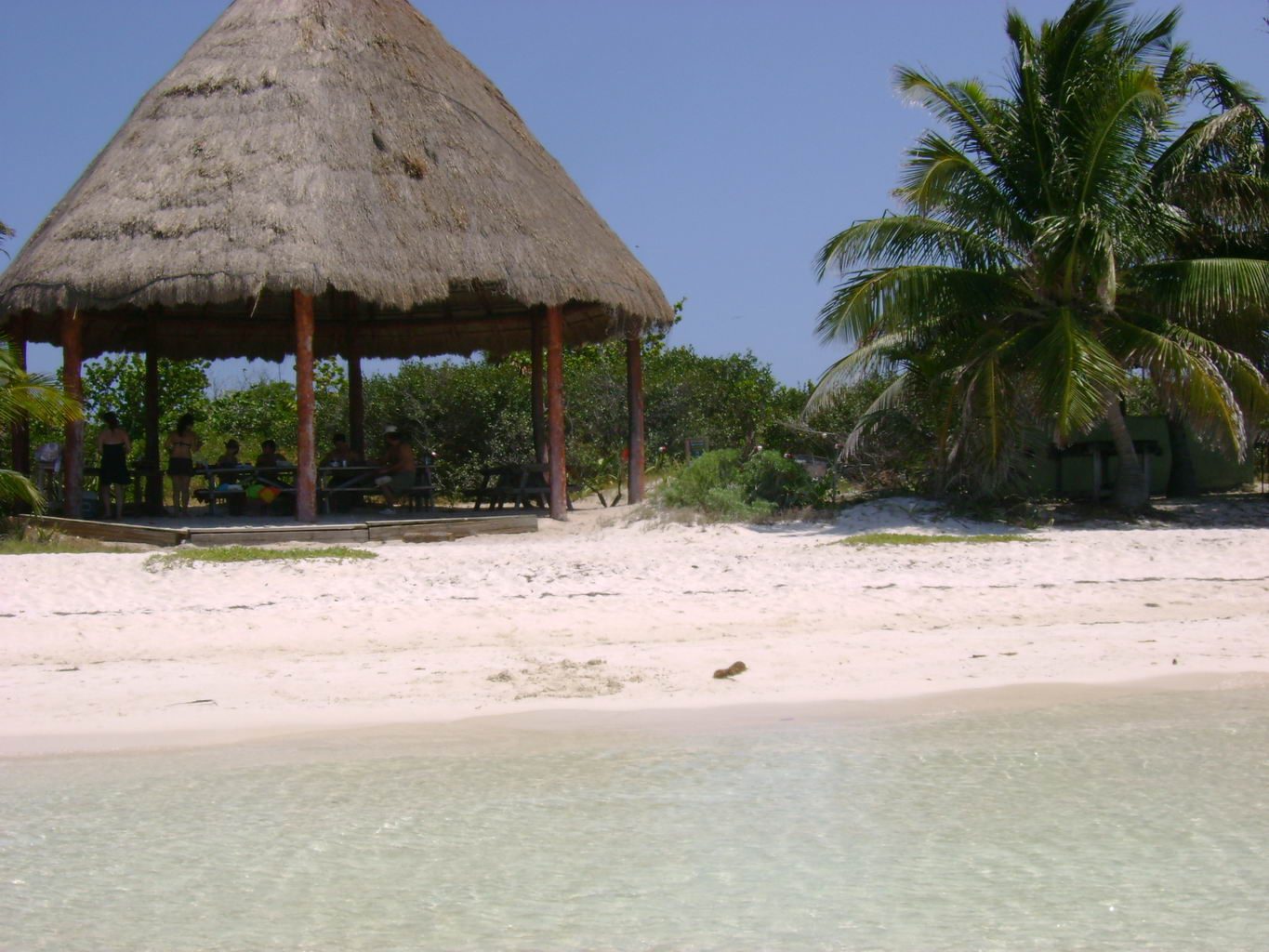 Isla Contoy Island Asterix Tour from Isla Mujeres