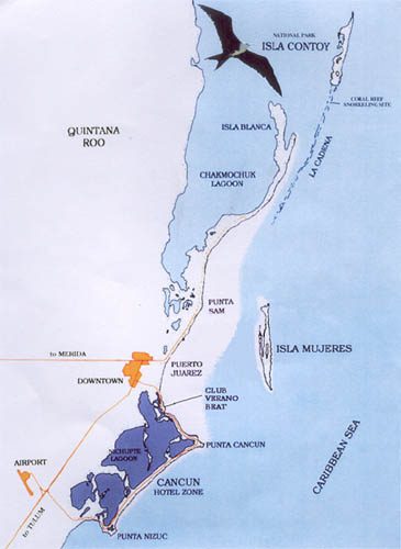 Isla Contoy Island Tour Bird Watching