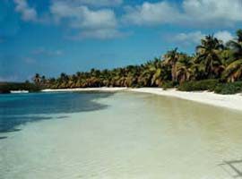 Isla Contoy Island Tour Bird Watching