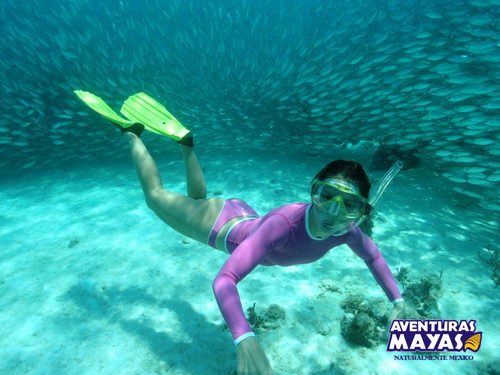 Snorkel Xtreme Zip Line canopy tour plus Riviera Maya…