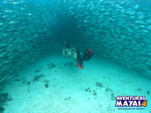 Snorkel Xtreme Zip Line canopy tour plus Riviera Maya…