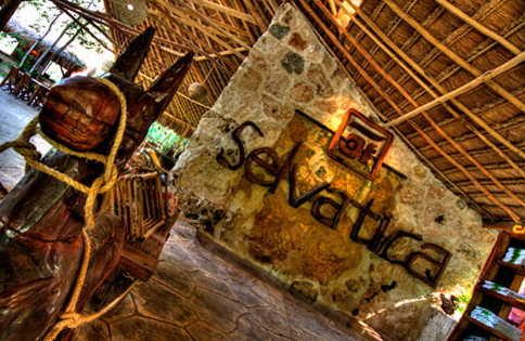 Selvatica canopy expedition and adventure tour cancun
