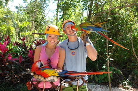 Snorkel tour with canopy zipline cancun