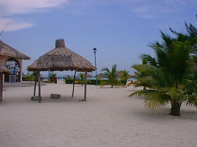 Beaches on Cancun and Rivieramaya Mexico