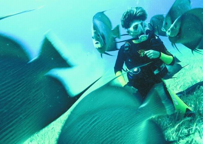 Cave diving - cenotes diving