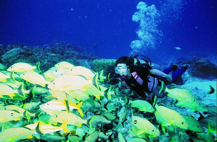 Cave diving - cenotes diving