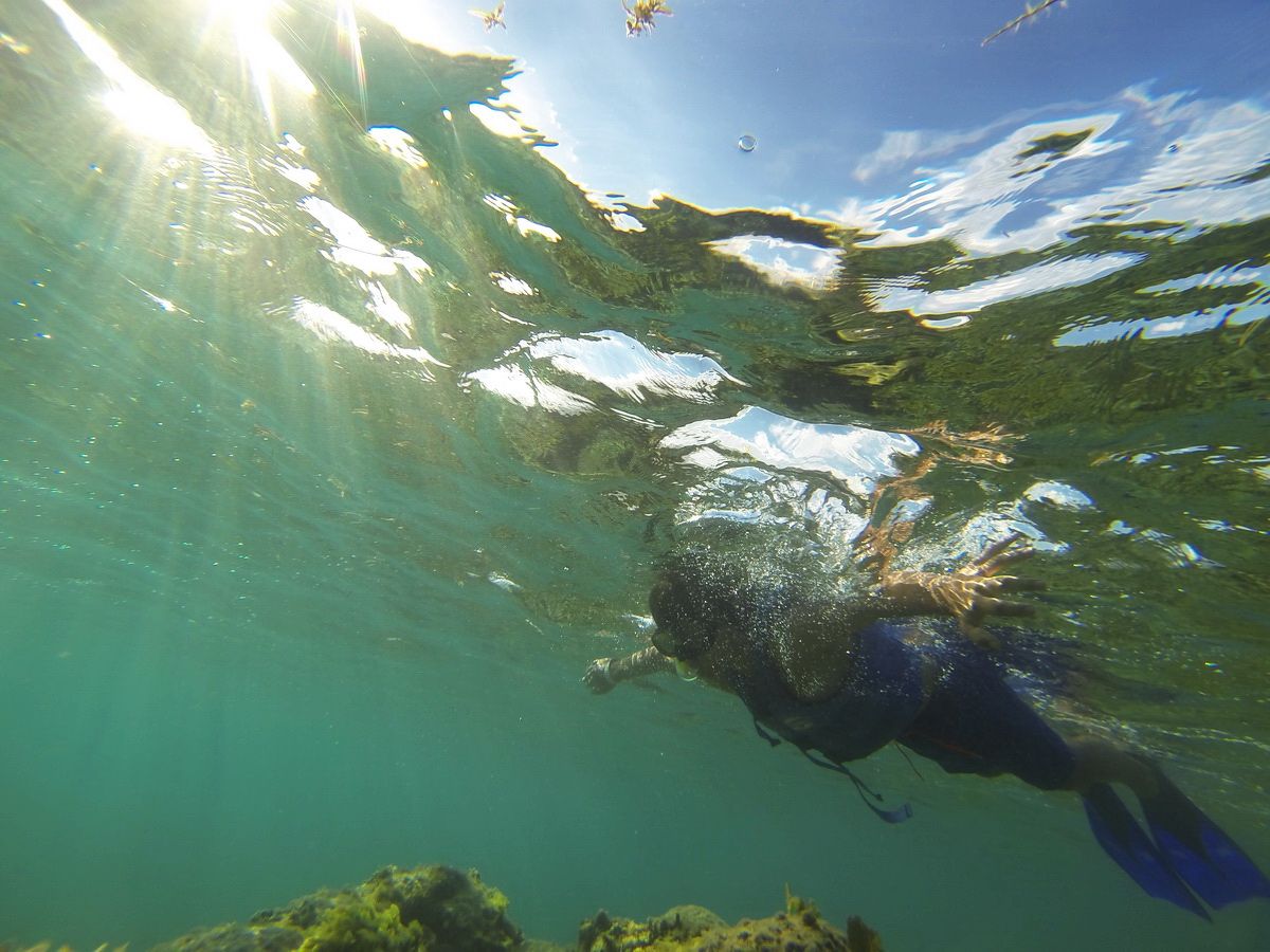Jungle tour snorkel MUSA