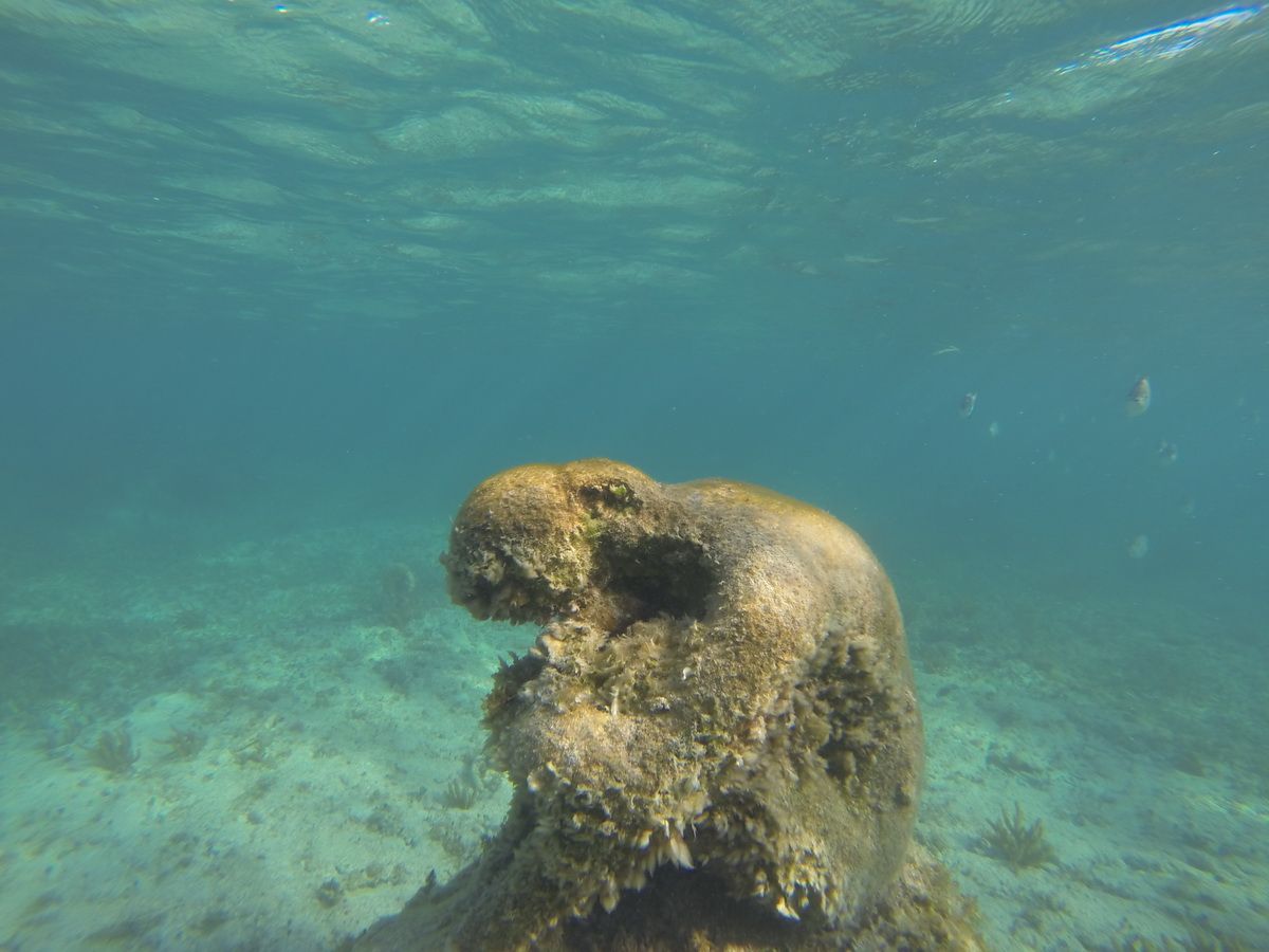 Jungle tour snorkel MUSA