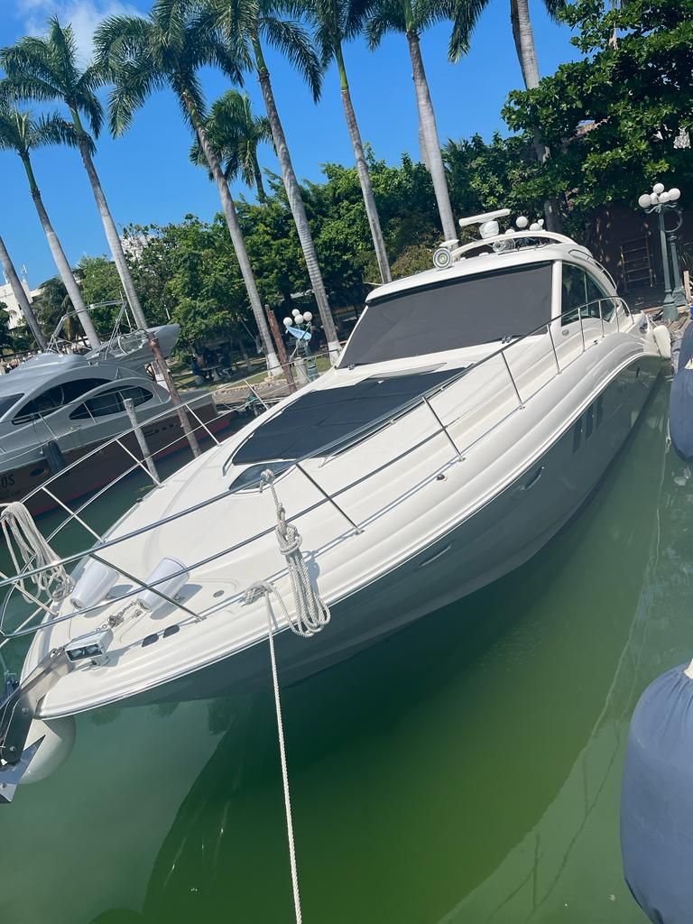 Sea Ray Sundancer yacht party
