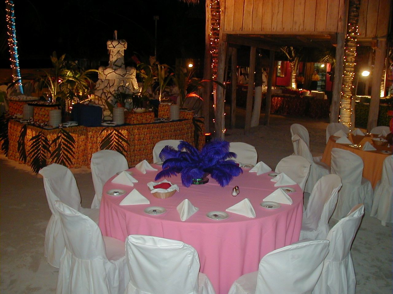 Caribbean Carnaval Party Boat