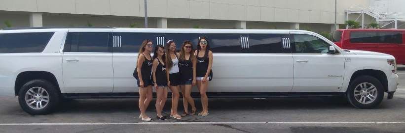 Limousine rental & transfers