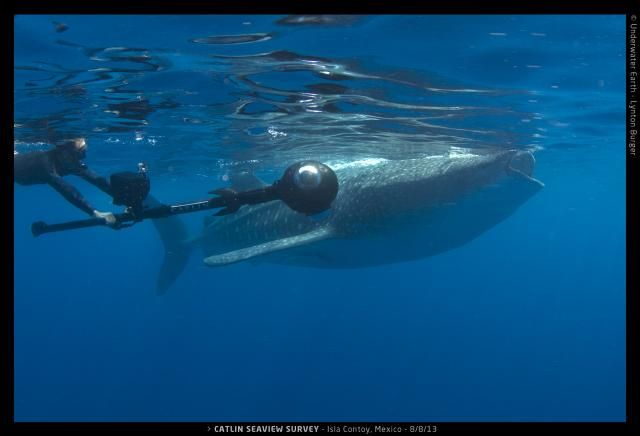 Dive Cancun and Isla Mujeres from your yacht