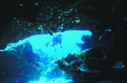 akumal-dive-23.jpg