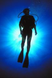 akumal-dive-25.jpg