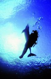 cozumel-buceo-19.jpg