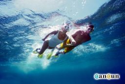 En33-swiming.jpg