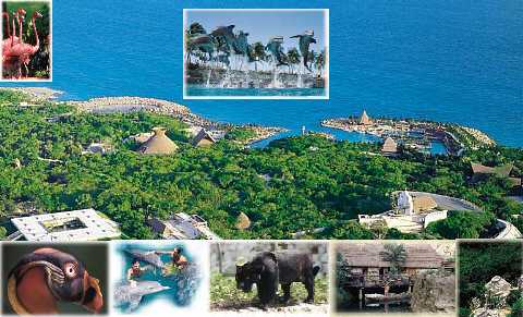 XCARET HALF DAY